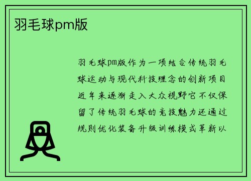 羽毛球pm版