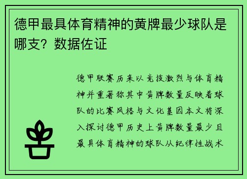 德甲最具体育精神的黄牌最少球队是哪支？数据佐证